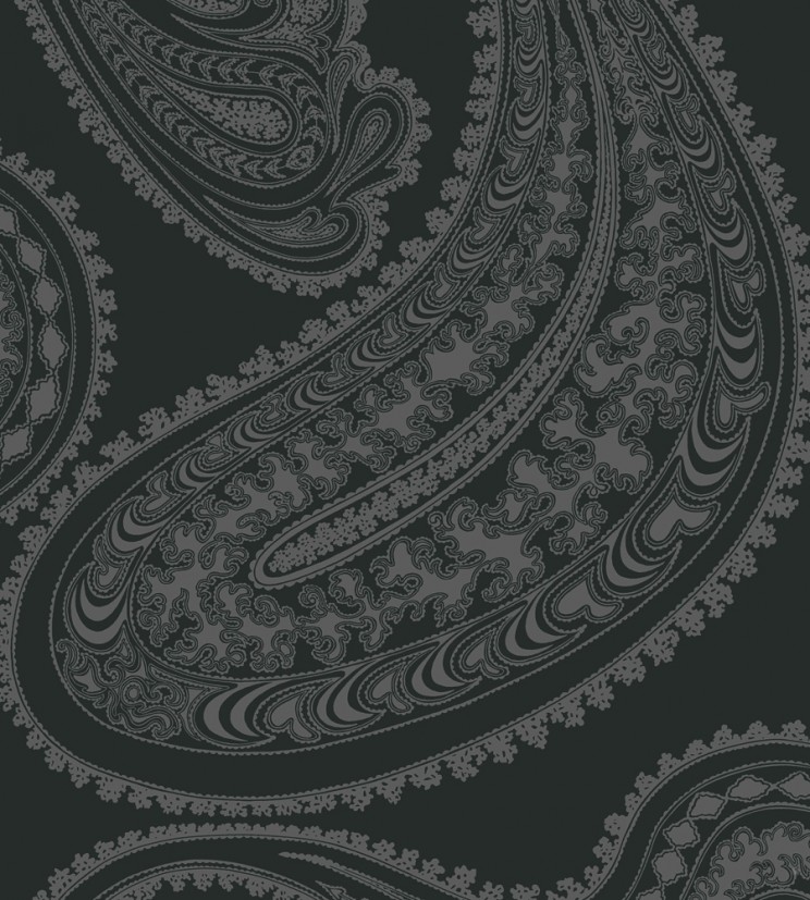 Cole and Son Rajapur Charcoal Fabric