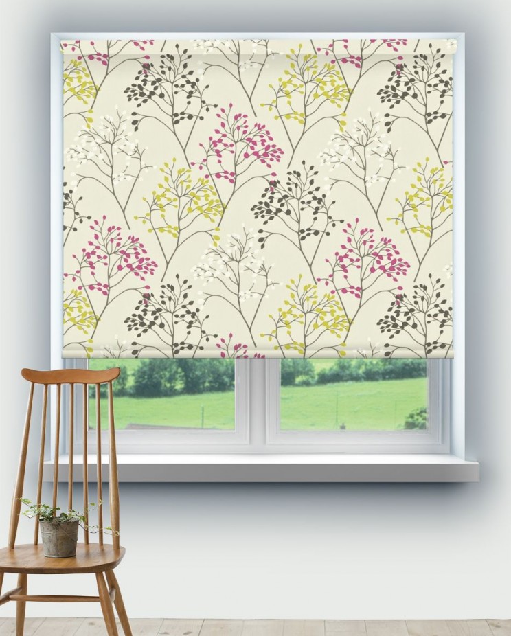 Roller Blinds Sanderson Pippin Fabric 222814