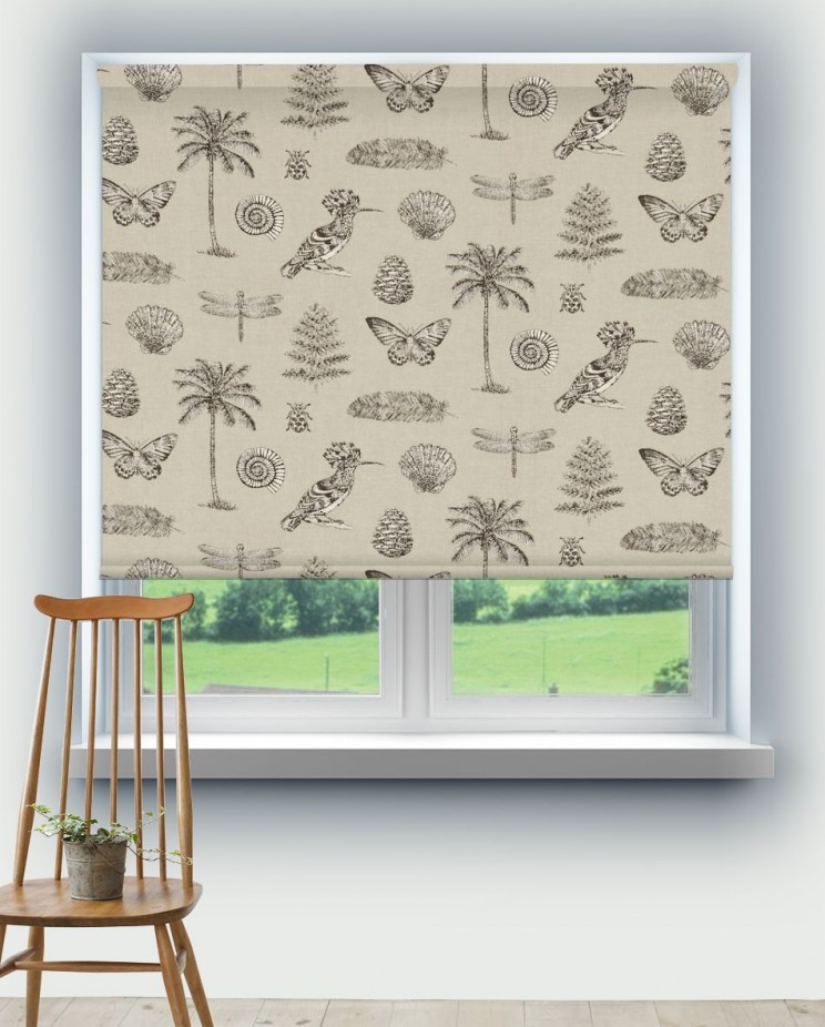 Roller Blinds Sanderson Cocos Fabric 223291