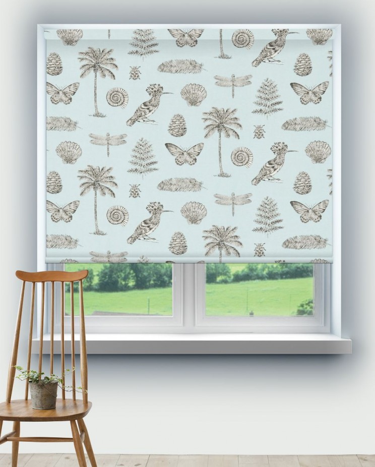 Roller Blinds Sanderson Cocos Fabric 223293