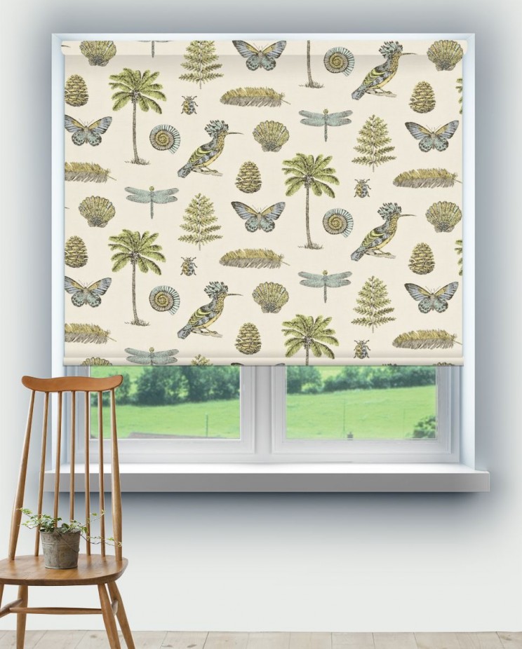 Roller Blinds Sanderson Cocos Fabric 223295