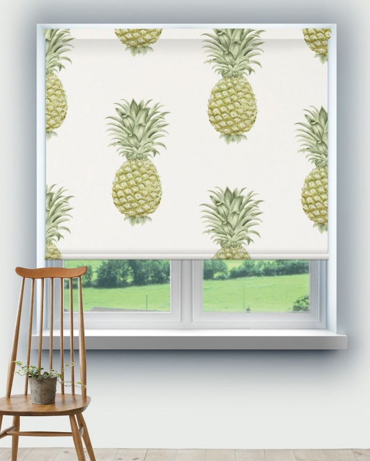 Roller Blinds Sanderson Pineapple Royale Fabric 226301