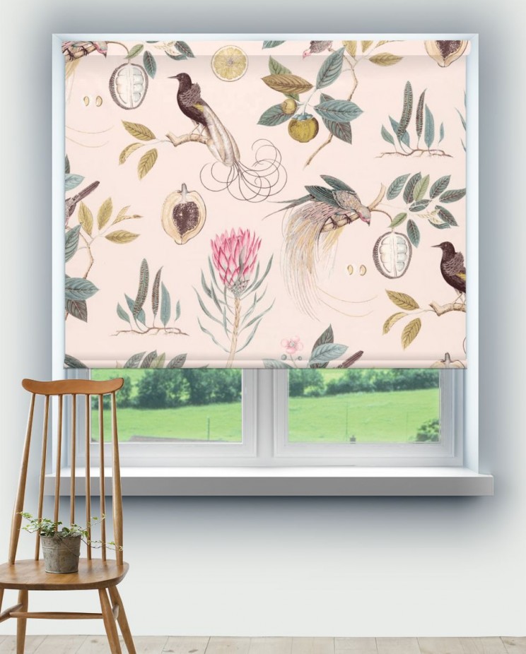 Roller Blinds Sanderson Paradesia Orchid/Grey Fabric 226566