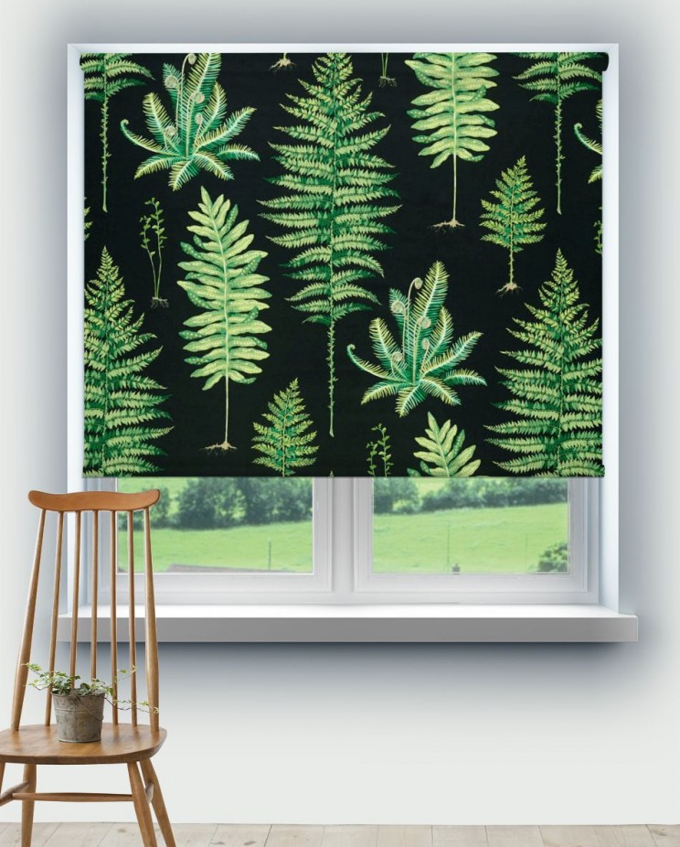 Roller Blinds Sanderson Fernery Botanical Green/Charcoal Fabric 226577