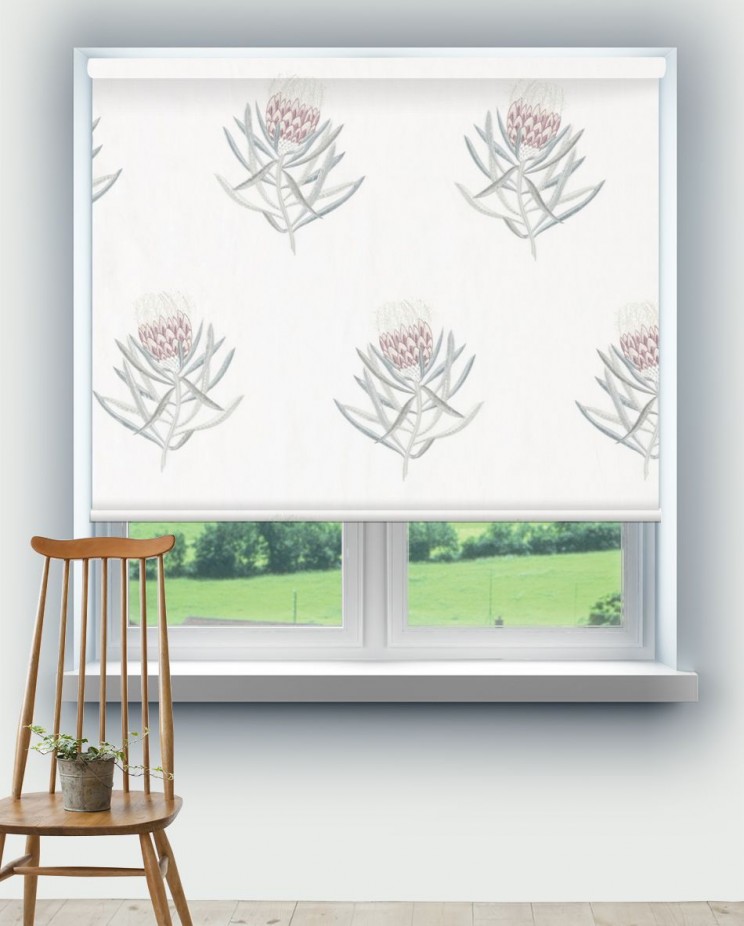Roller Blinds Sanderson Protea Flower Fabric 236352