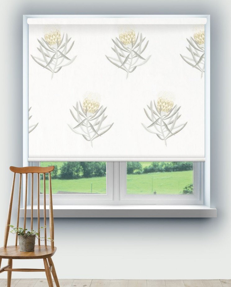 Roller Blinds Sanderson Protea Flower Fabric 236355