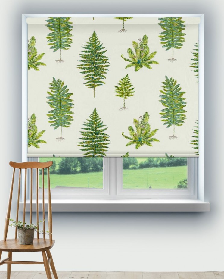 Roller Blinds Sanderson Fernery Embroidery Fabric 237319