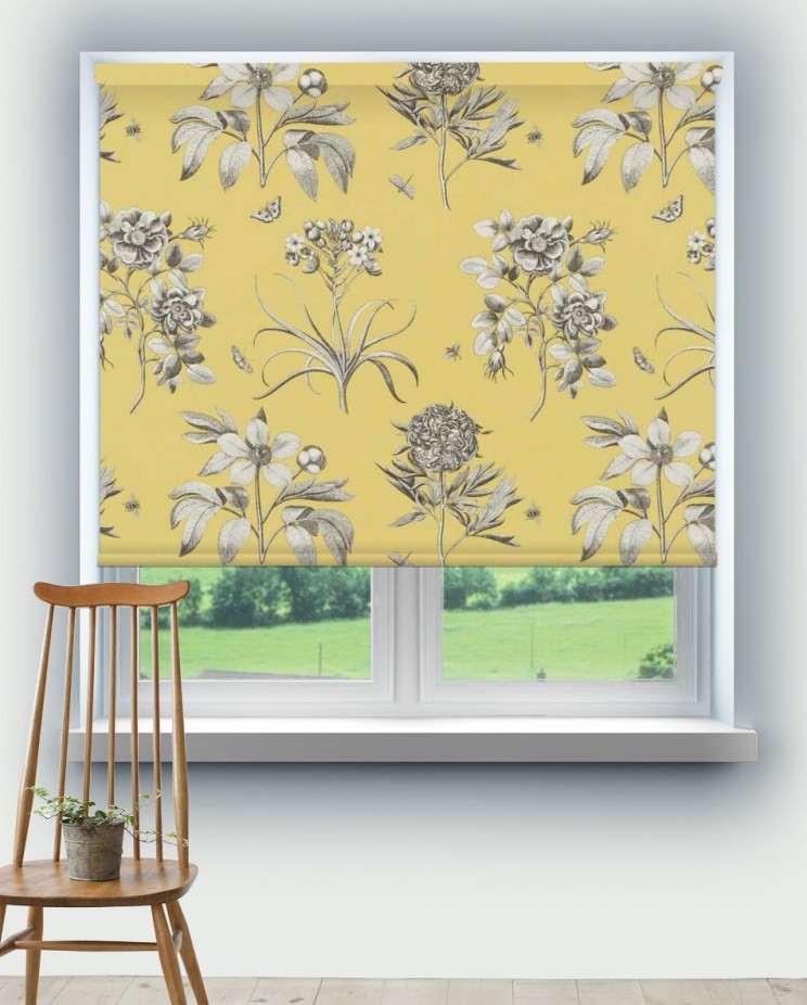 Roller Blinds Sanderson Etchings & Roses Fabric DPFPET204