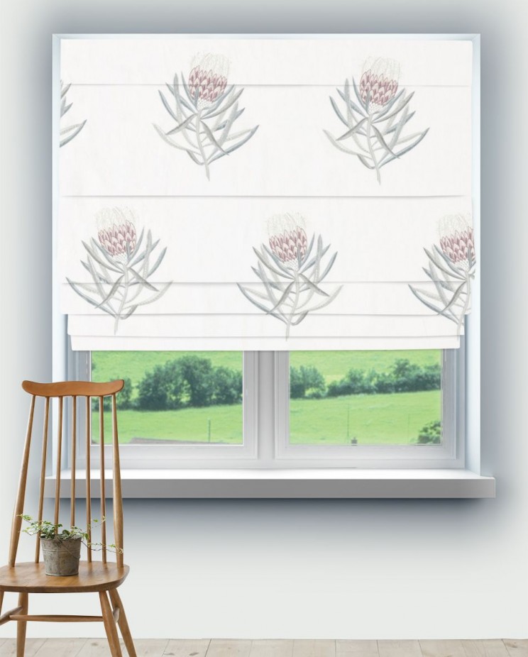 Roman Blinds Sanderson Protea Flower Fabric 236352