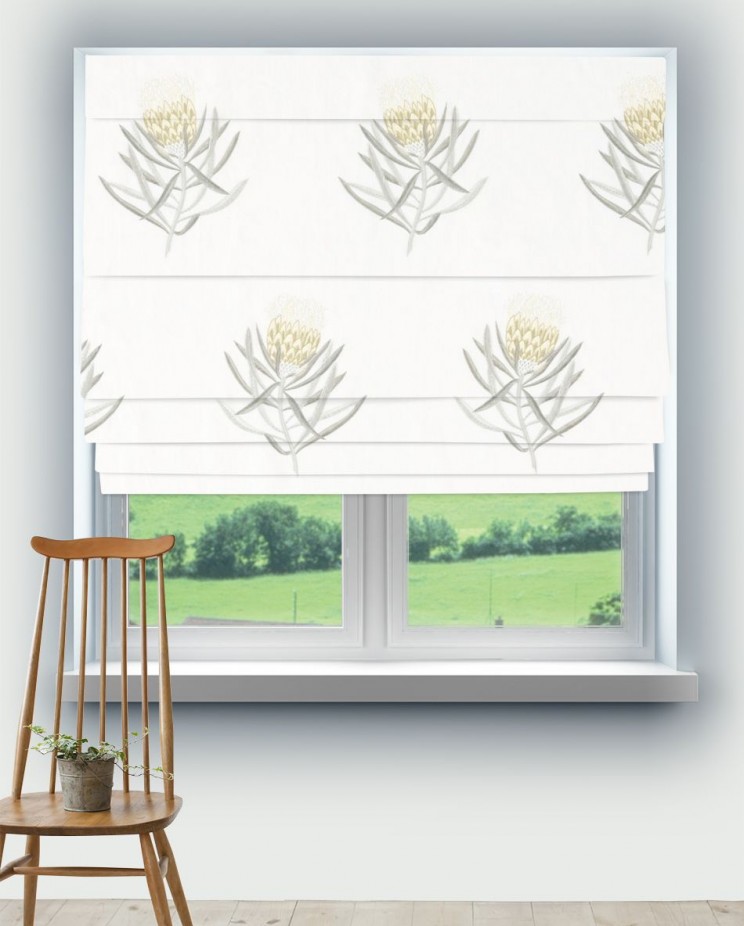Roman Blinds Sanderson Protea Flower Fabric 236355