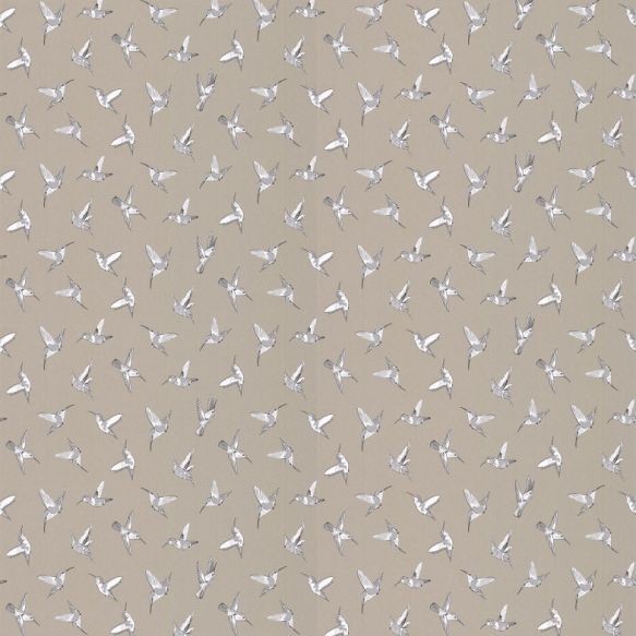 Oasis Hummingbird Wallpaper