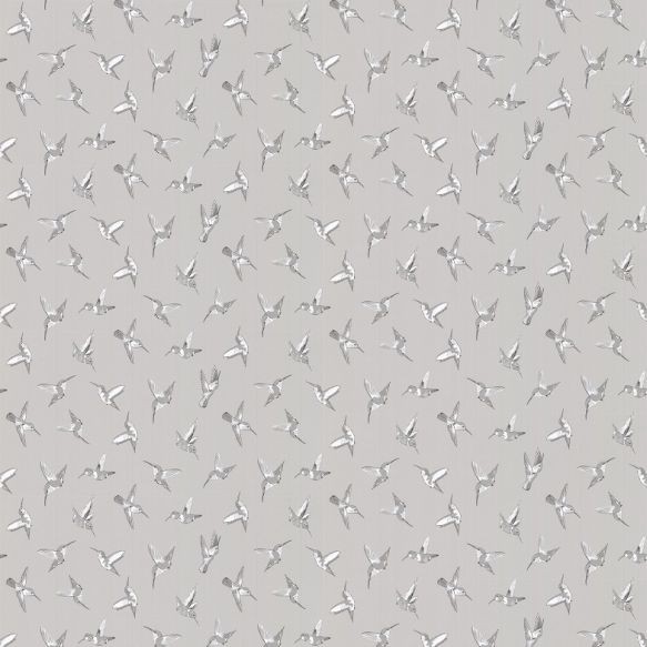 Oasis Hummingbird Wallpaper