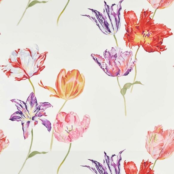 Sanderson Tulipomania Wallpaper
