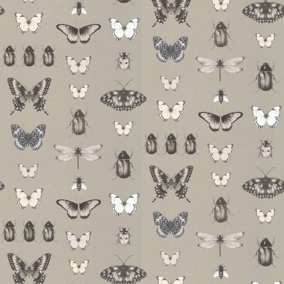 Clarke and Clarke Papilio Wallpaper
