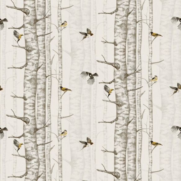 Birch Trees Wallpaper - Beige - By Coordonne - 9500041