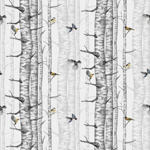 Coordonne Birch Trees Wallpaper