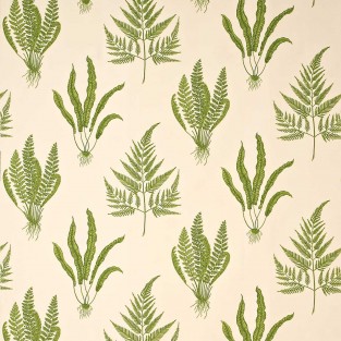 Sanderson Woodland Ferns Fabric