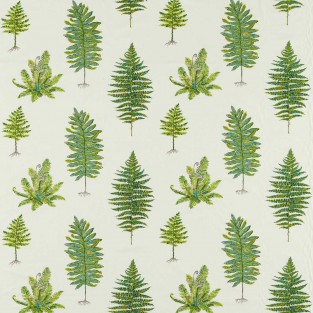 Sanderson Fernery Embroidery Fabric