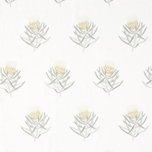 Sanderson Protea Flower Fabric