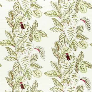 Sanderson Calathea Olive Fabric