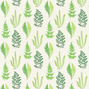Sanderson Angel Ferns Fabric