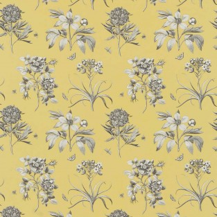 Sanderson Etchings & Roses Fabric