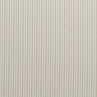 Clarke and Clarke Painswick Mineral Fabric