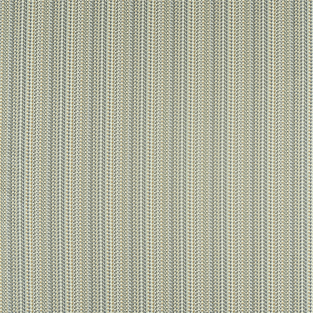 Scion Concentric Coast Fabric