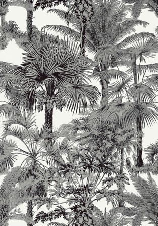 Thibaut Palm Botanical Wallpaper