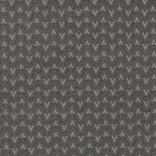 Clarke and Clarke Zion Charcoal Fabric