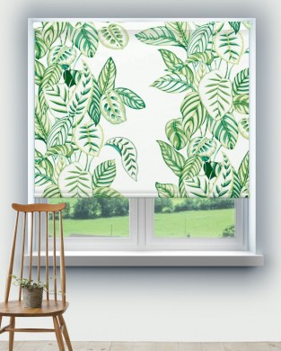 Sanderson Calathea Botanical Green Fabric